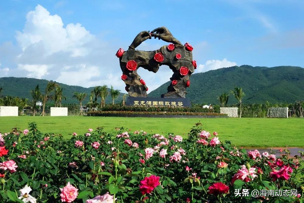 趁着春光出游海南,趁着春光明媚去旅行