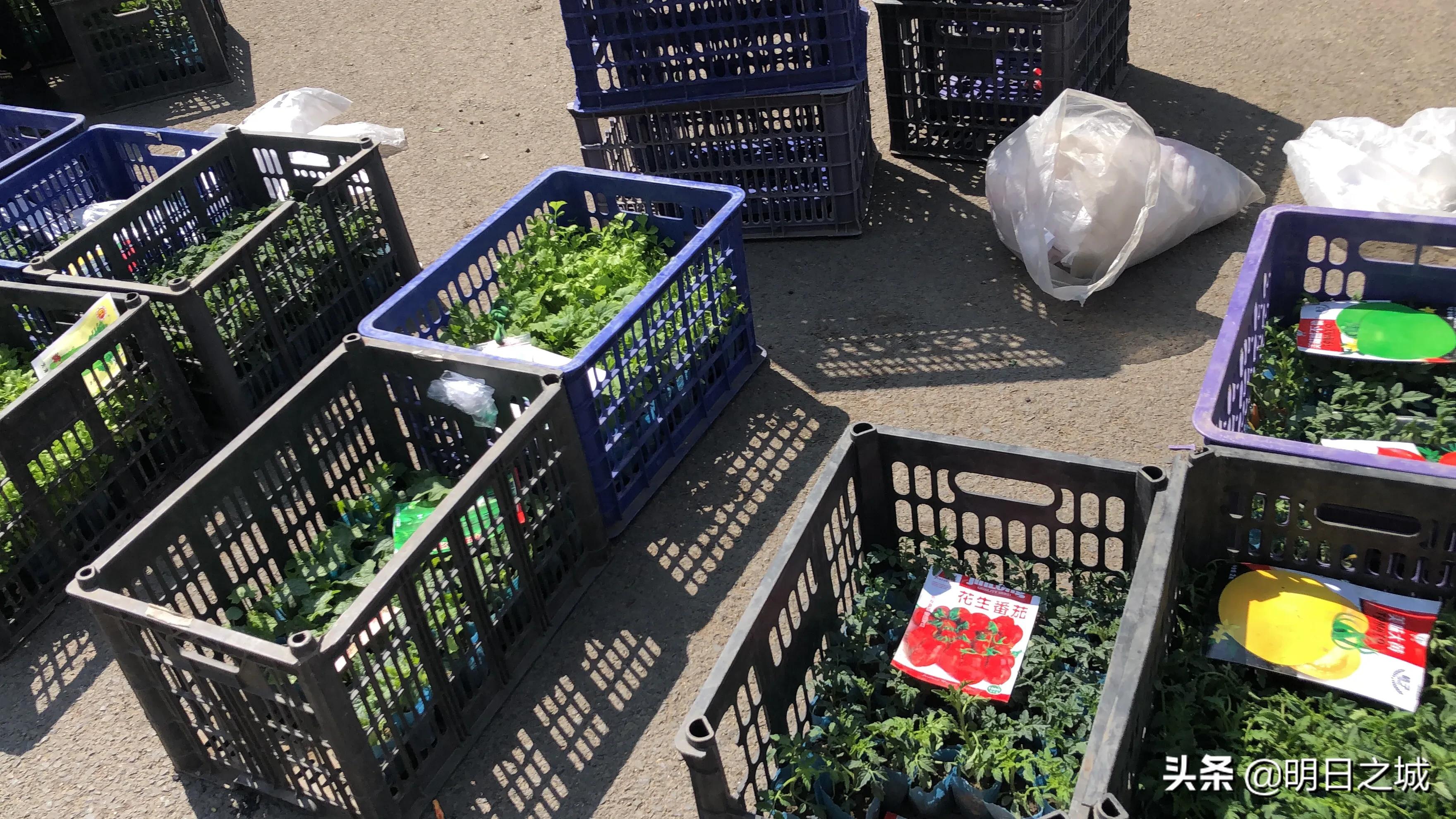 长春早市晚市大集大全2021,长春目前存在的早市