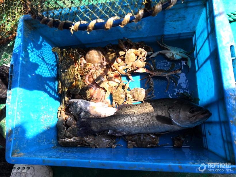 奉化海鲜自助餐有没有帝王蟹,奉化海鲜餐推荐