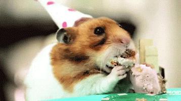 仓鼠的嘴巴到底有多大啊,仓鼠的嘴巴有什么可爱的地方