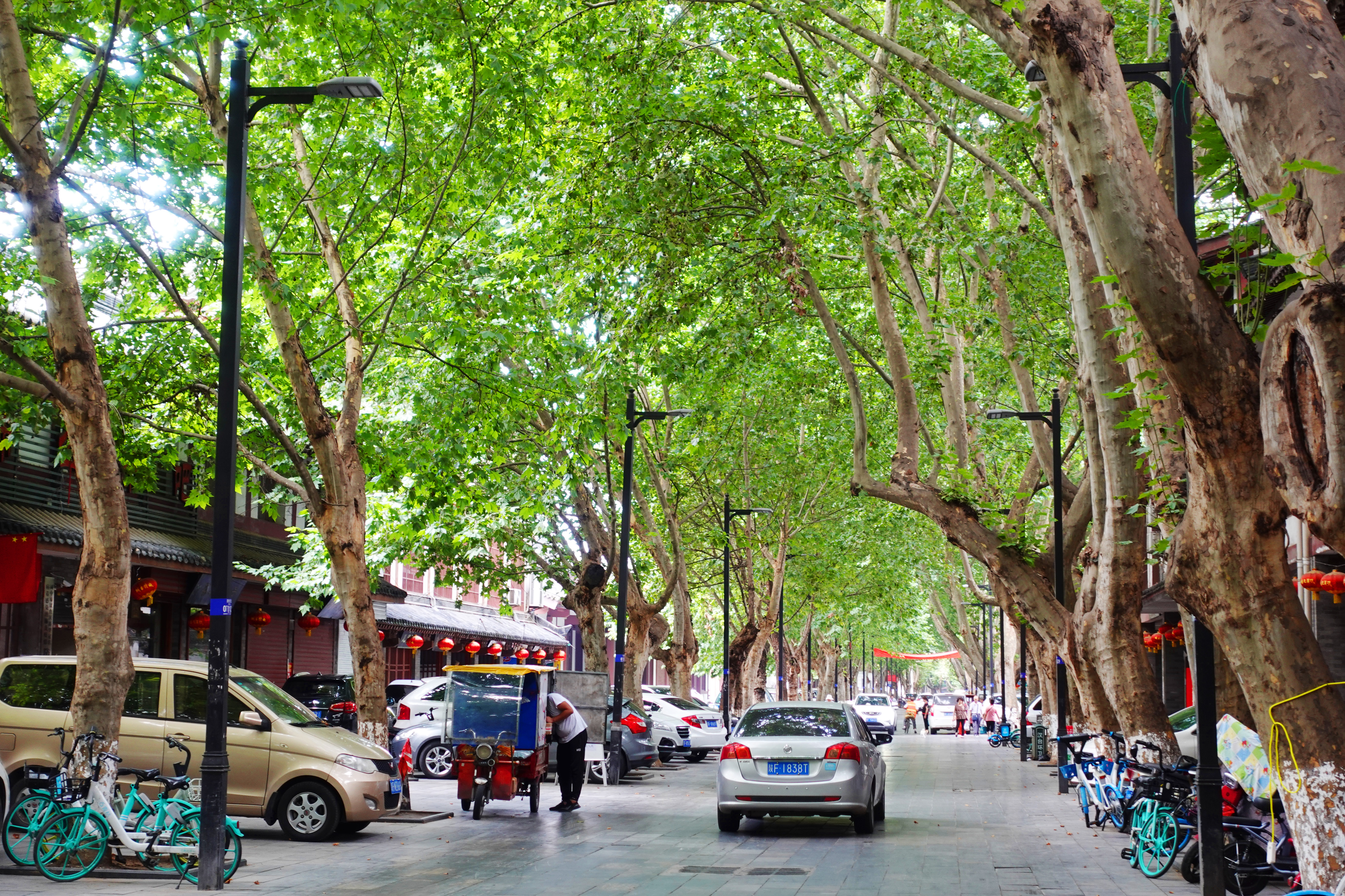 汉中自驾游旅游攻略最佳路线,汉中吃喝玩乐攻略一日游推荐