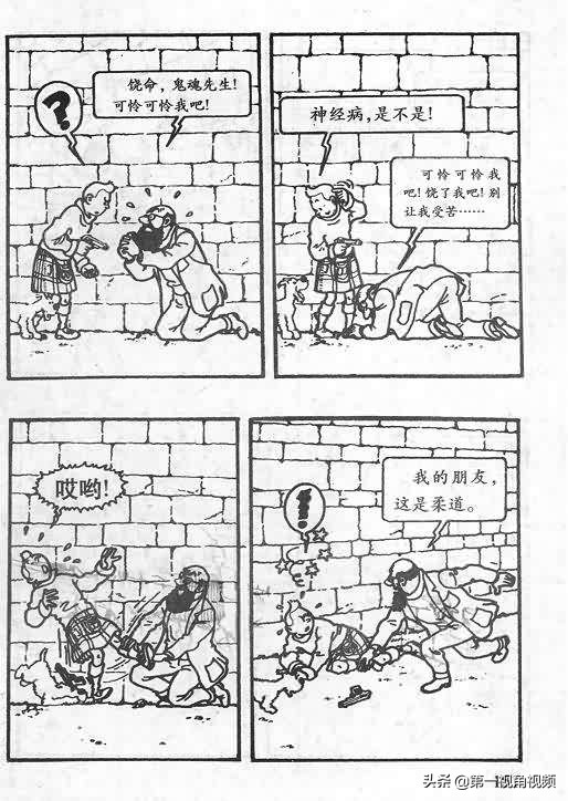 丁丁历险记刚果完整版,丁丁历险记西藏