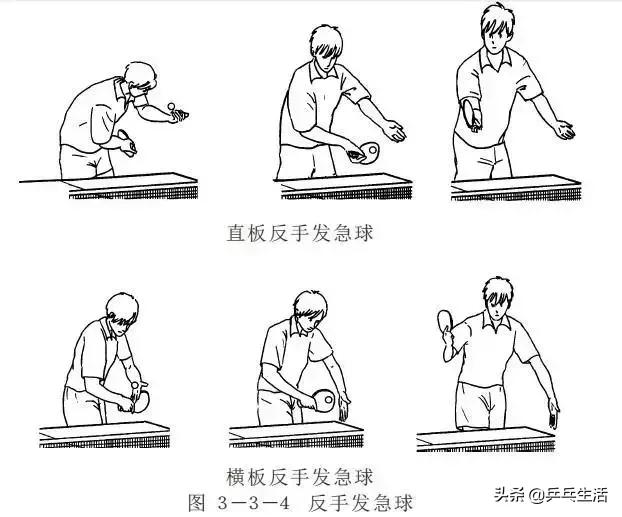 11种基本发球技术,最难接的五种发球怎样发