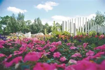 浪漫七夕沈阳世博园为情侣或夫妻们奉上文旅盛“惠”