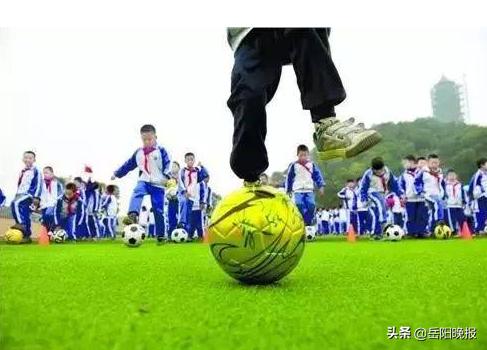 岳阳足球特色学校名单,岳阳市青少年学校