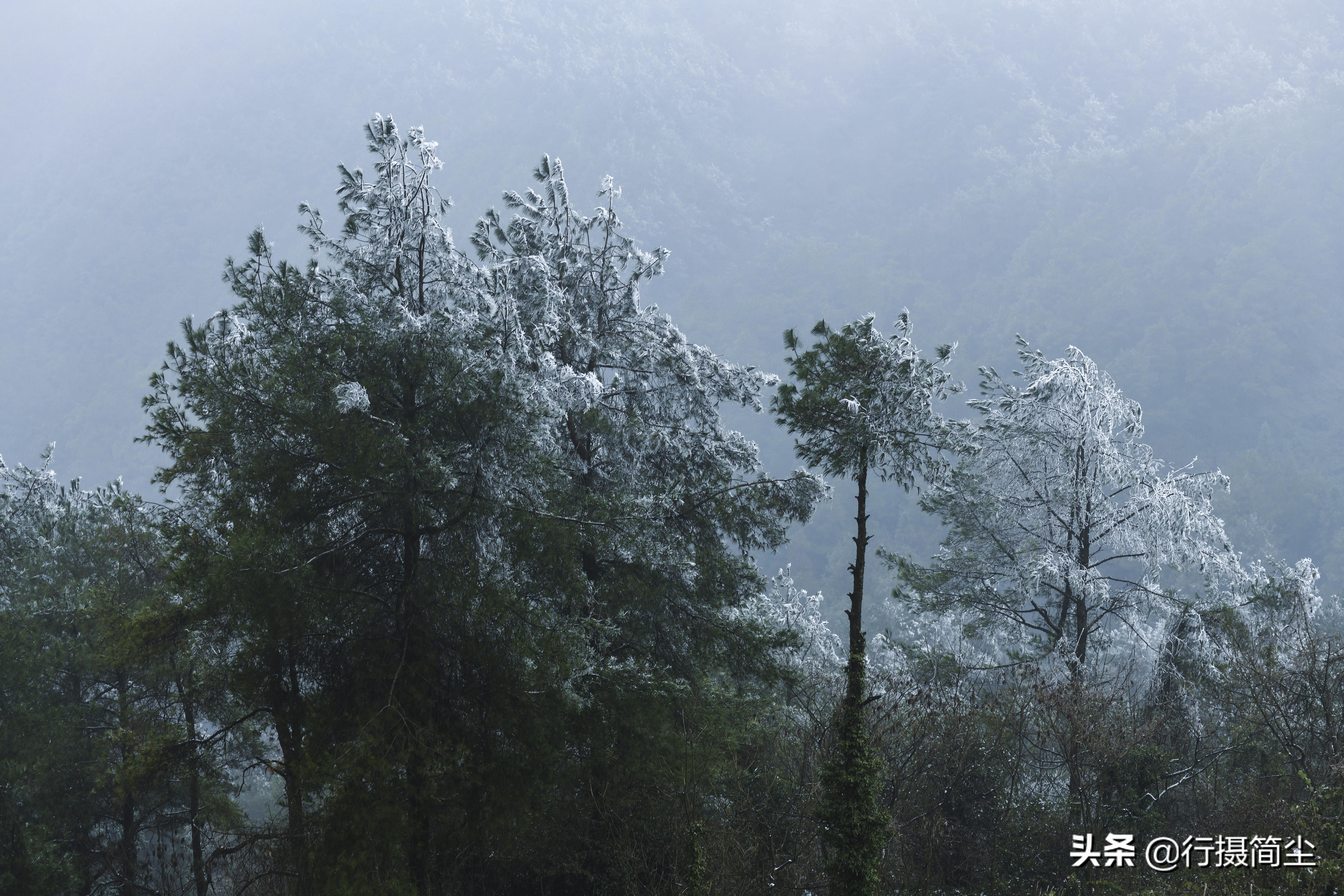 华蓥山宝鼎雪景航拍,华蓥山宝鼎冬天看日出