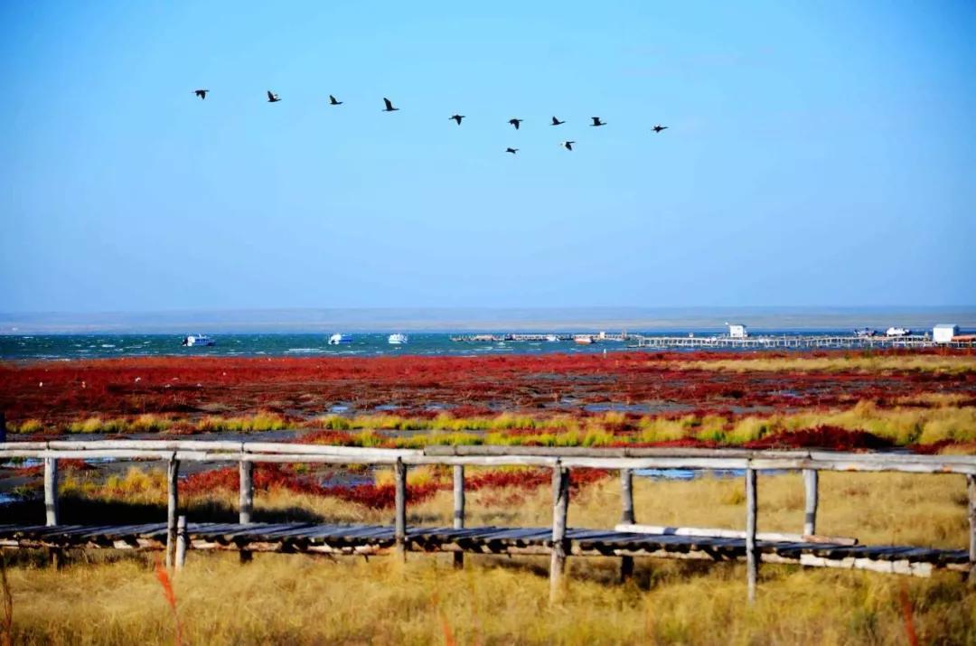 带你去看浩瀚宇宙,带你去内蒙古赤峰
