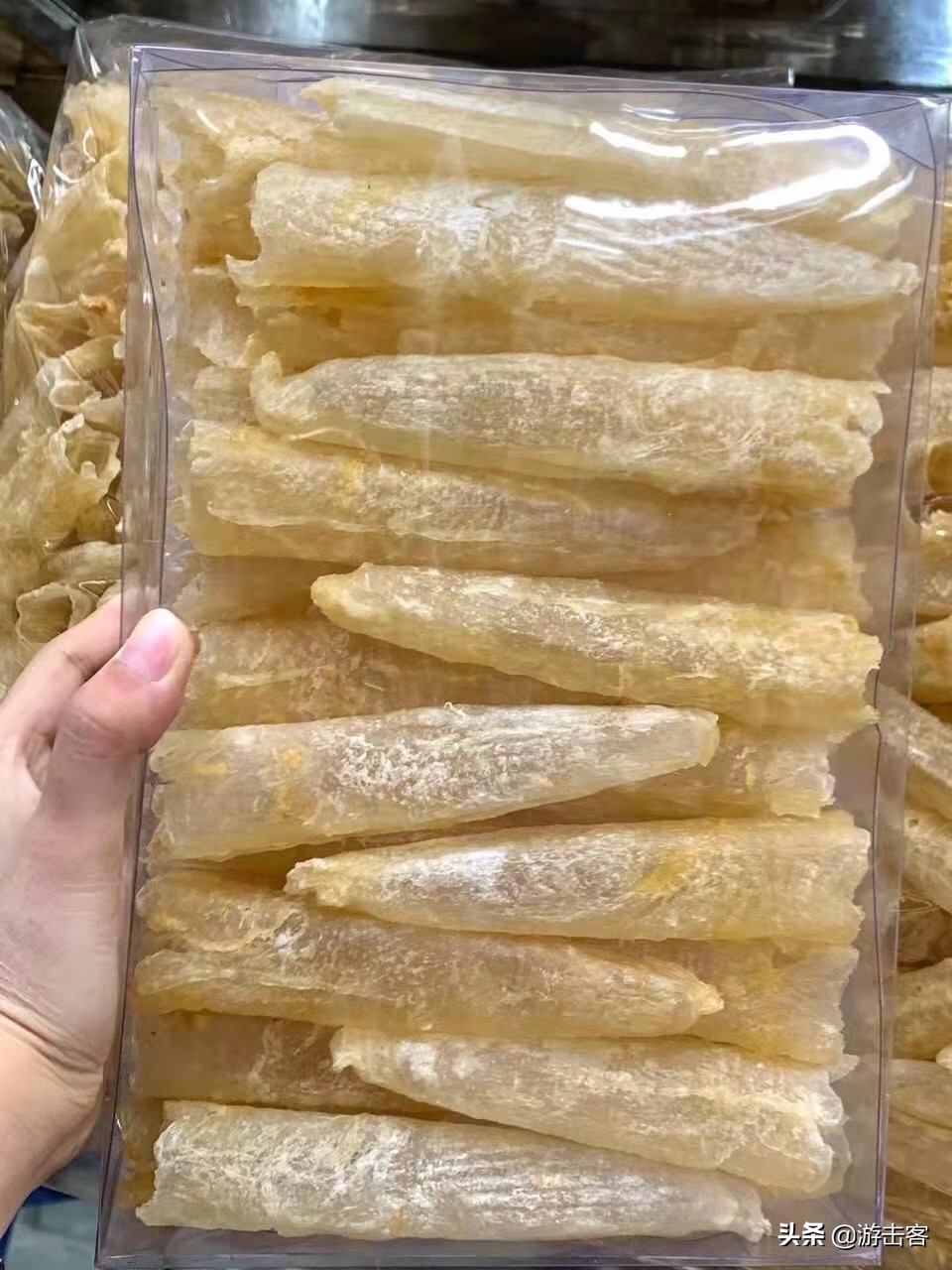 市面上的假鱼胶多吗,阳江假鱼胶事件