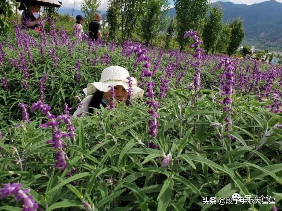 钢铁直男的硬核操作看完你笑了吗,论某些男生的拍照技术