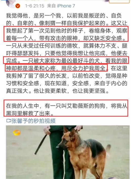 张馨予美女,网游张馨予