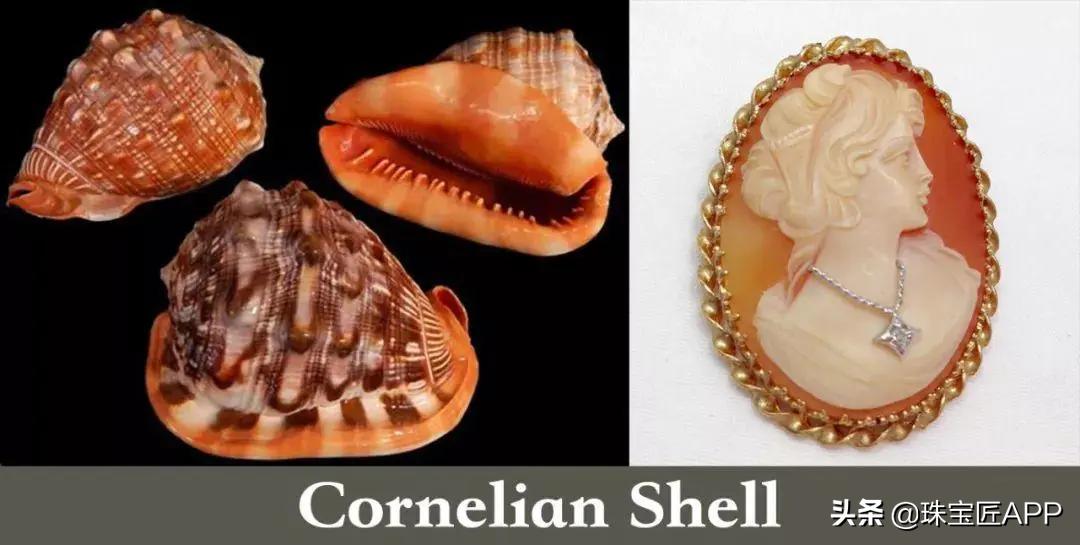 贝壳手工珠宝首饰,贝壳类珠宝首饰
