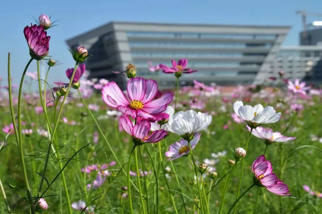 春暖花开是一年中最美丽的季节,春暖花开的季节享受大自然的美景