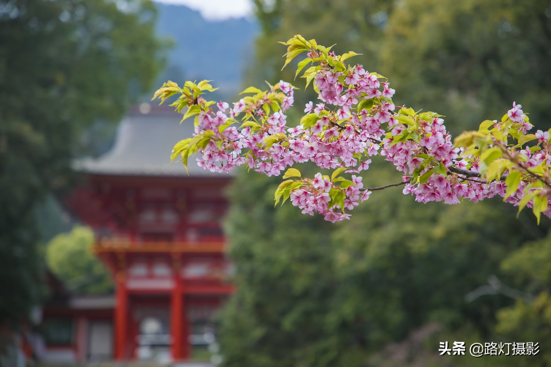 跟着美图去旅行,跟着游日本