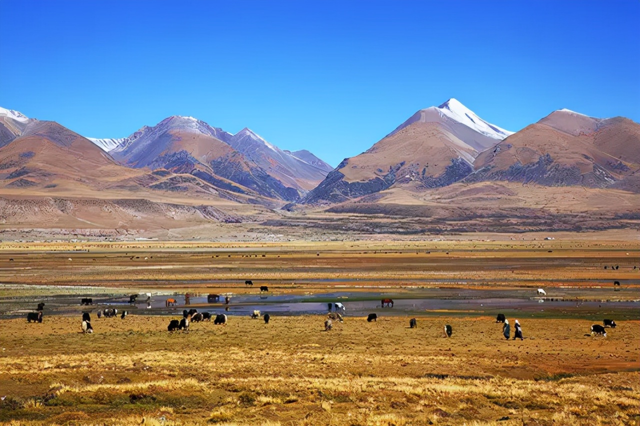 羌塘无人区为什么被称为生命禁区,世界上十大诡异禁区