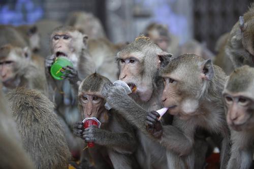 关于泰国你不知道的冷知识,泰国十大冷知识