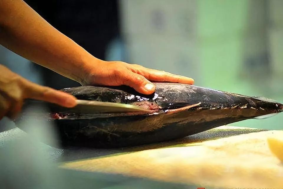 酸菜鱼黑鱼火锅,酸菜鱼黑鱼片速食火锅