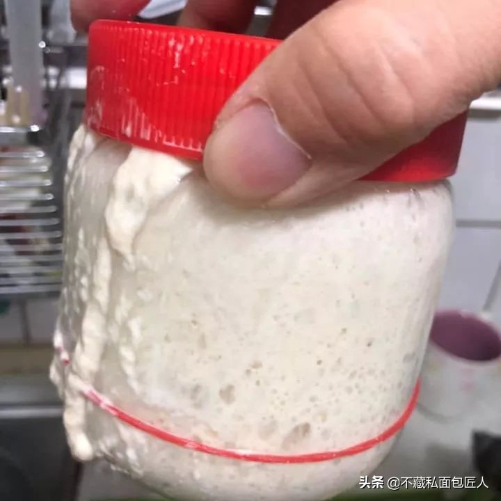 面包里的微小生命，酵母菌和它的朋友们