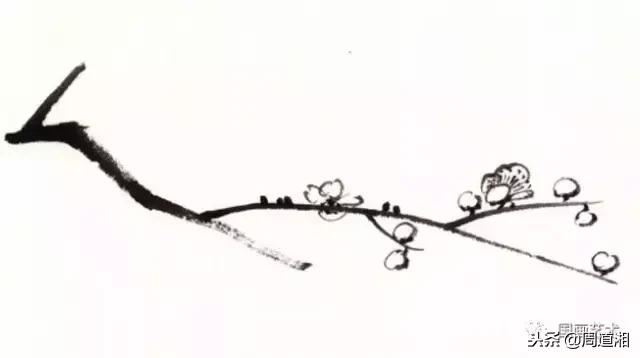 图文教程一学就会画写意菊花,零基础学画梅花教程