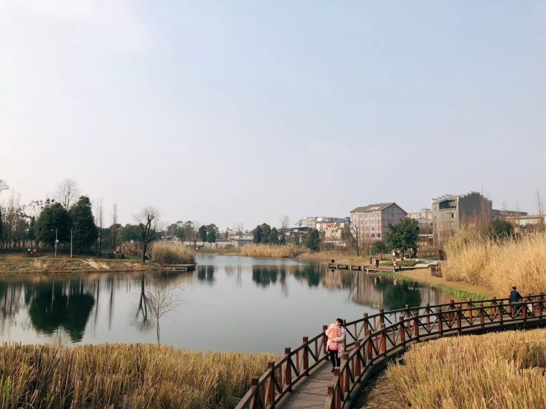 成都新增2个公园,成都到处都是公园城市