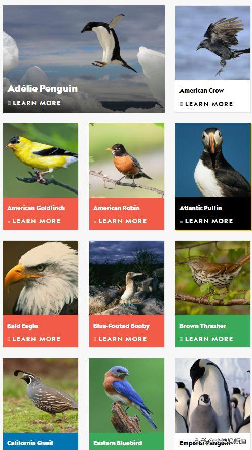 閫傚悎瀛╁瓙鐪嬬殑鑻辨枃鍘熺増鏉傚織,澶т汉鐪嬬殑鑻辨枃鍘熺増鏉傚織