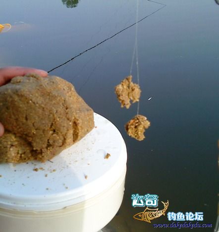 新手钓鱼老是觉得鱼料不行,钓鱼开拉饵的正确方法