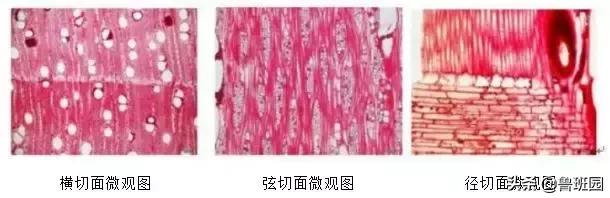 桃花心木花纹怎么鉴别,桃花心木有难闻的气味吗