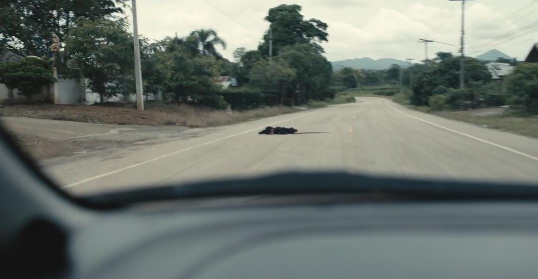 期望越大失望越大还能期望吗,期望越大失望越大也就心凉了