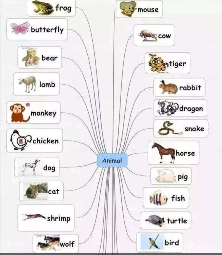 学科思维导图让学习看到思考的力量——导图绘制步骤