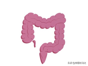 食物变成便便的过程是什么过程,食物变成大便的全过程