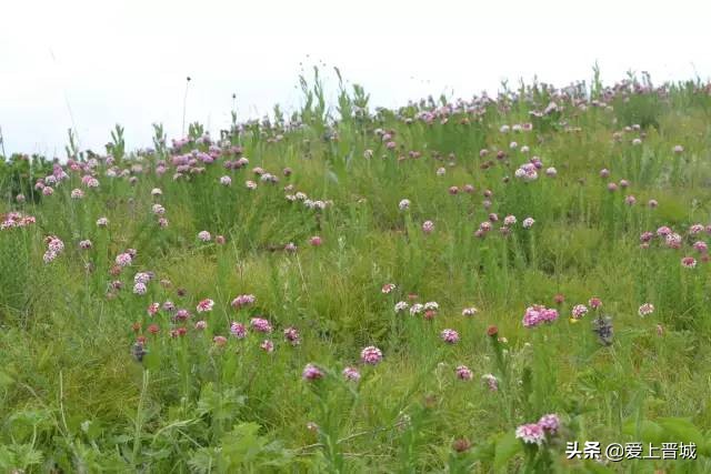 晋城有个啥山,晋城有什么山有名