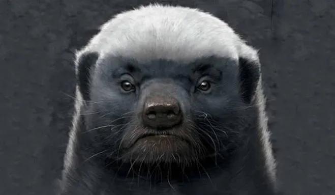 到底哪些野生动物不能吃,哪些是野生动物不可以吃