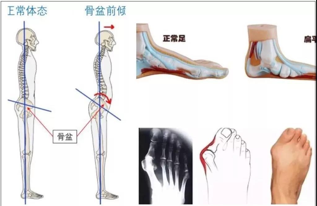 骨关节医生赵辉,骨科医生赵辉