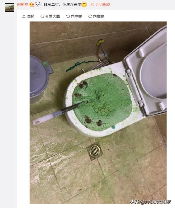 猫砂可以直接倒入马桶吗,猫砂可不可以倒入马桶