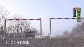 科目二怎么自动约了两次,科目二c1最全流程