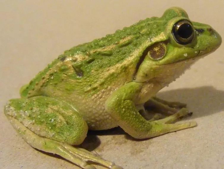 那些属于80后的美好童年记忆,那些属于90后的童年记忆