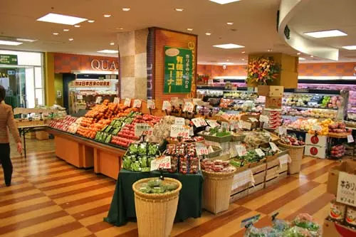 日本省钱妙招1000例,日本自由行攻略小视频