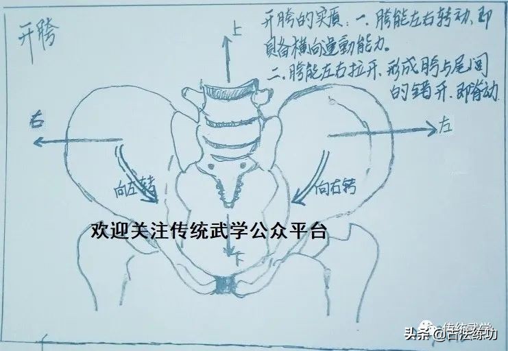 用肩打人用胯走路是什么意思,用肘关节打人