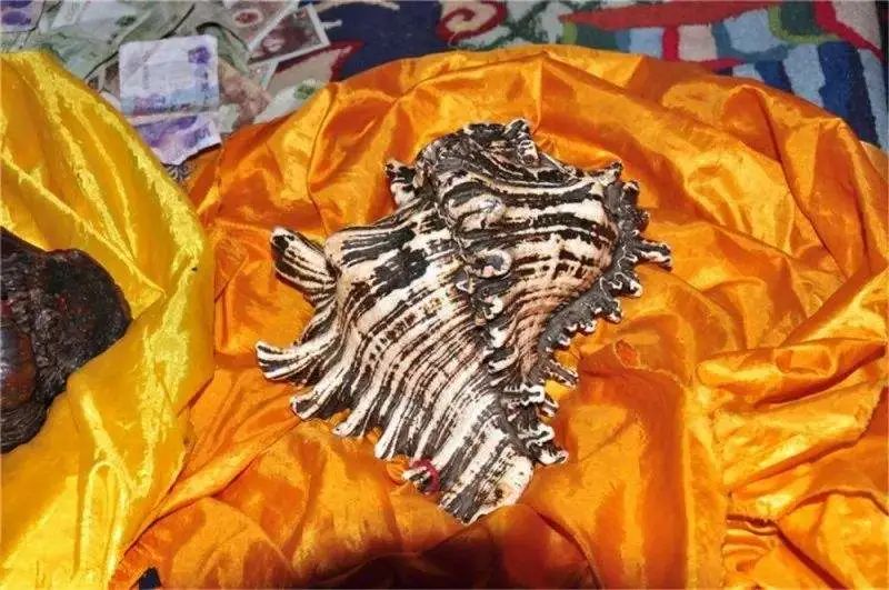 丁真和四川什么关系,丁真背后是谁