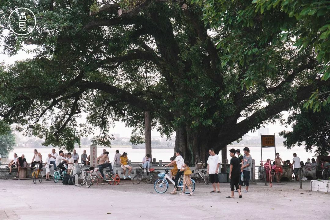 再见了沥川原唱视频,再见王沥川完整视频