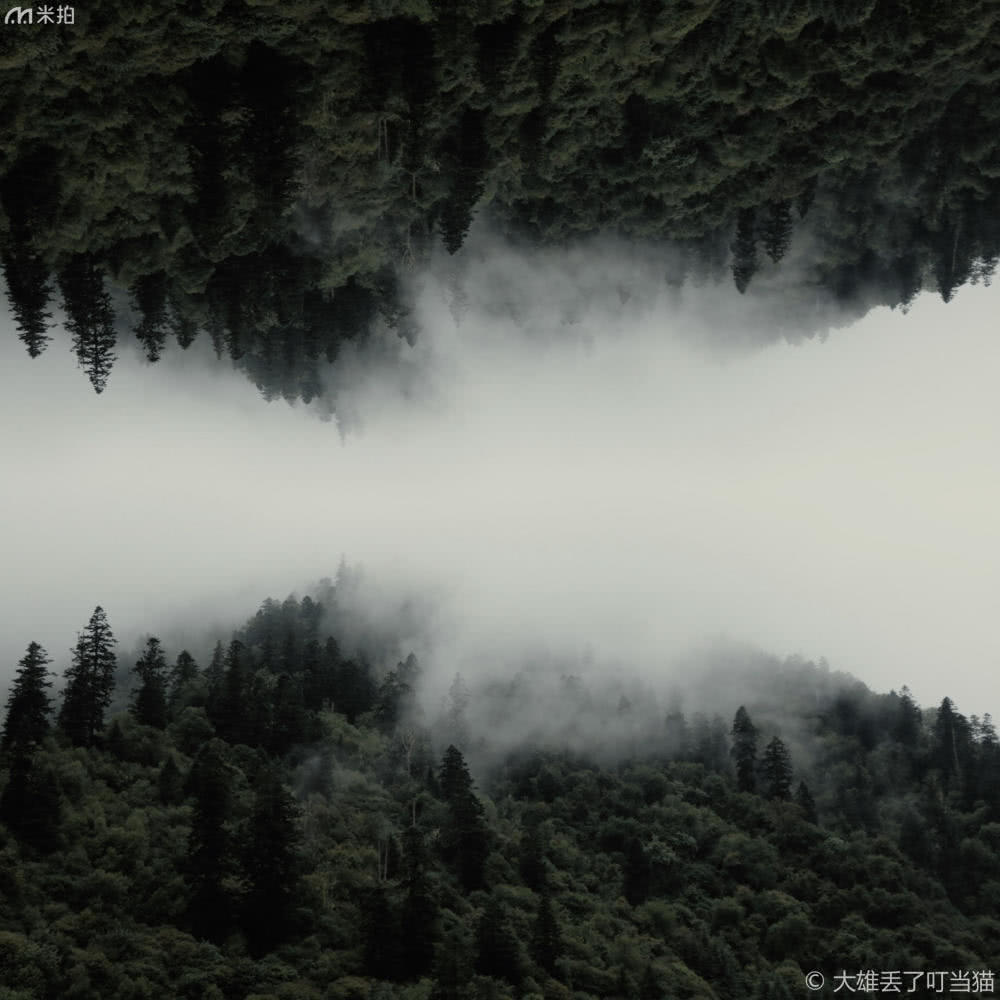 摄影师将几何元素运用到大自然中,大家惊呼“太美了!”