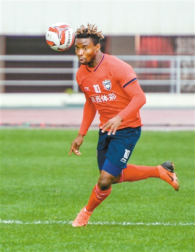 新狼王梗概,新狼王纪录片视频