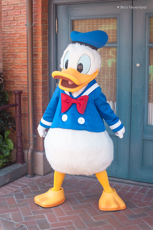 上海迪士尼攻略超详细最新 (你不知道的迪士尼隐藏玩法)