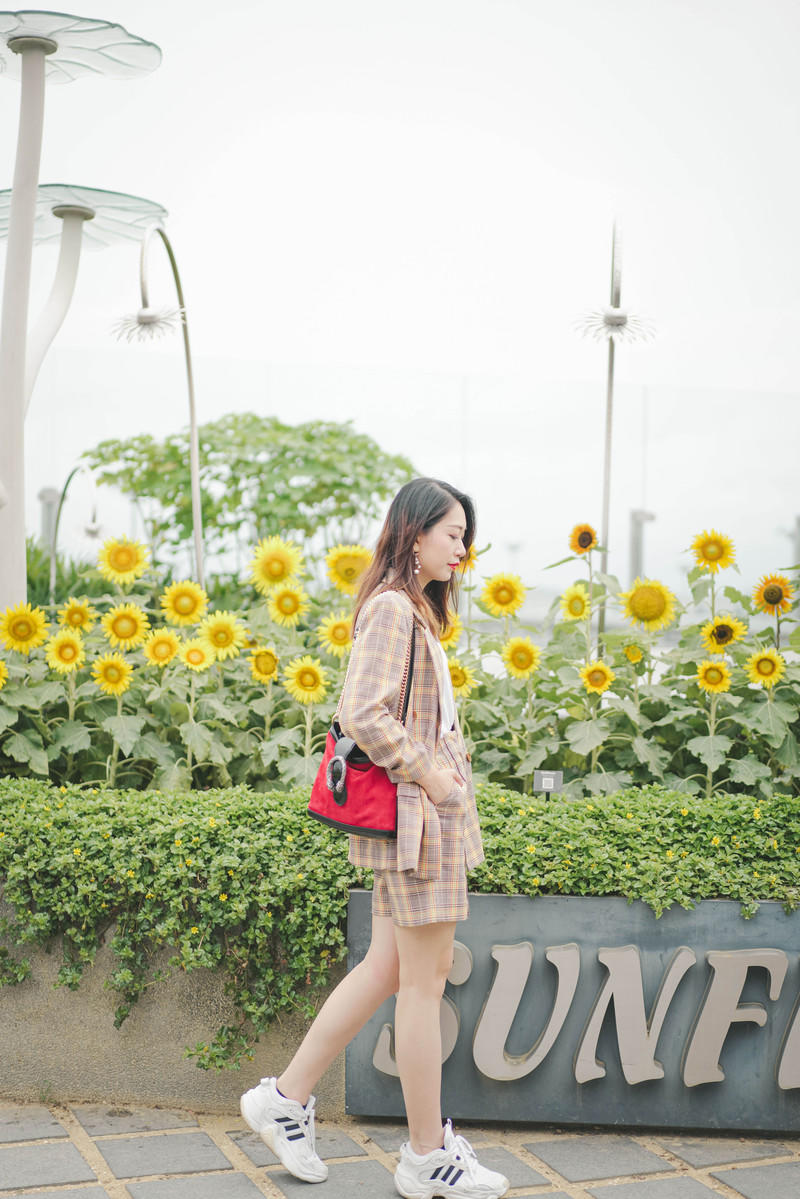 一人一猫环游,一人一猫旅行