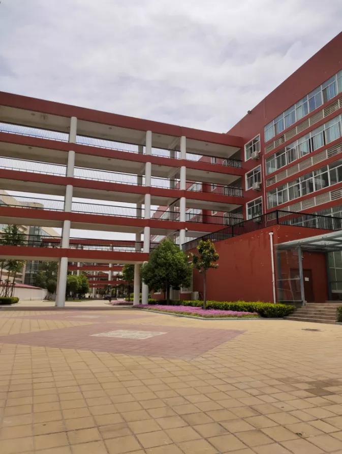 郑州2020中考省重点高中分数线,郑州各高中中招录取线