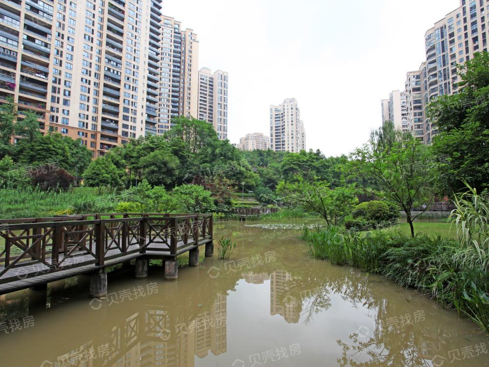 两江四岸+名校集团分校,也要擦亮了眼睛