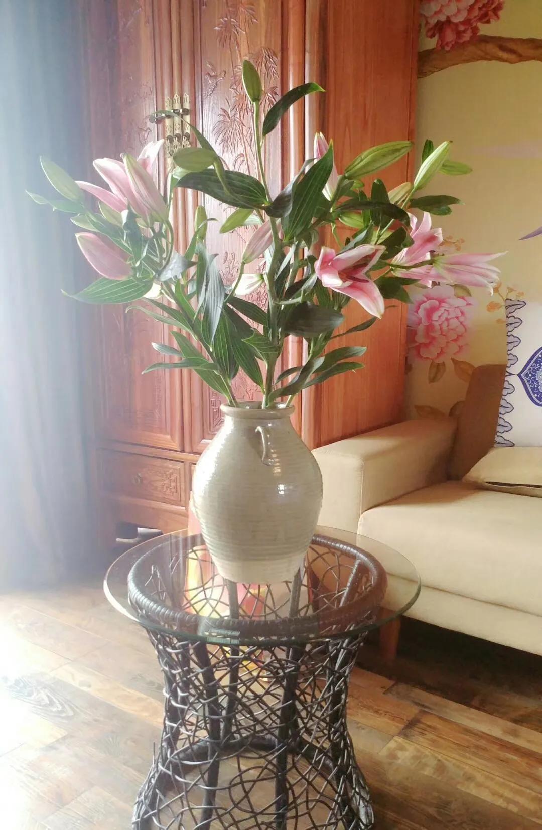 一家三口的田园生活,一家三口在大理的田园边租房15年