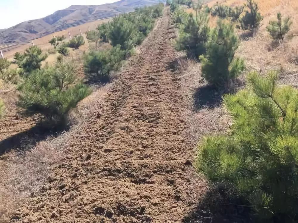 儿童乐园室内消防情景屋设计,500平米儿童乐园消防设计