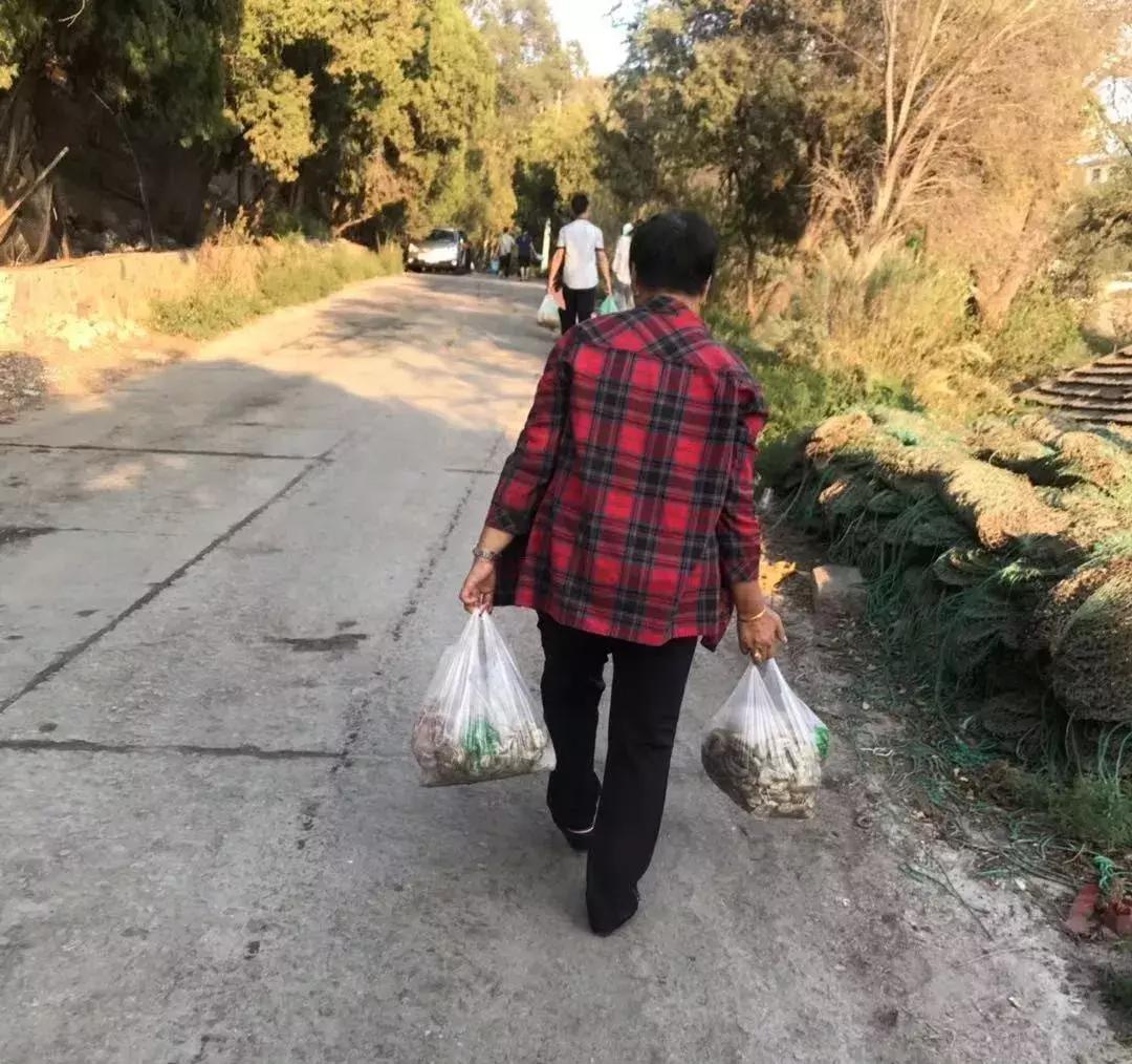 威海海鲜开海期,威海开海海鲜便宜还是贵