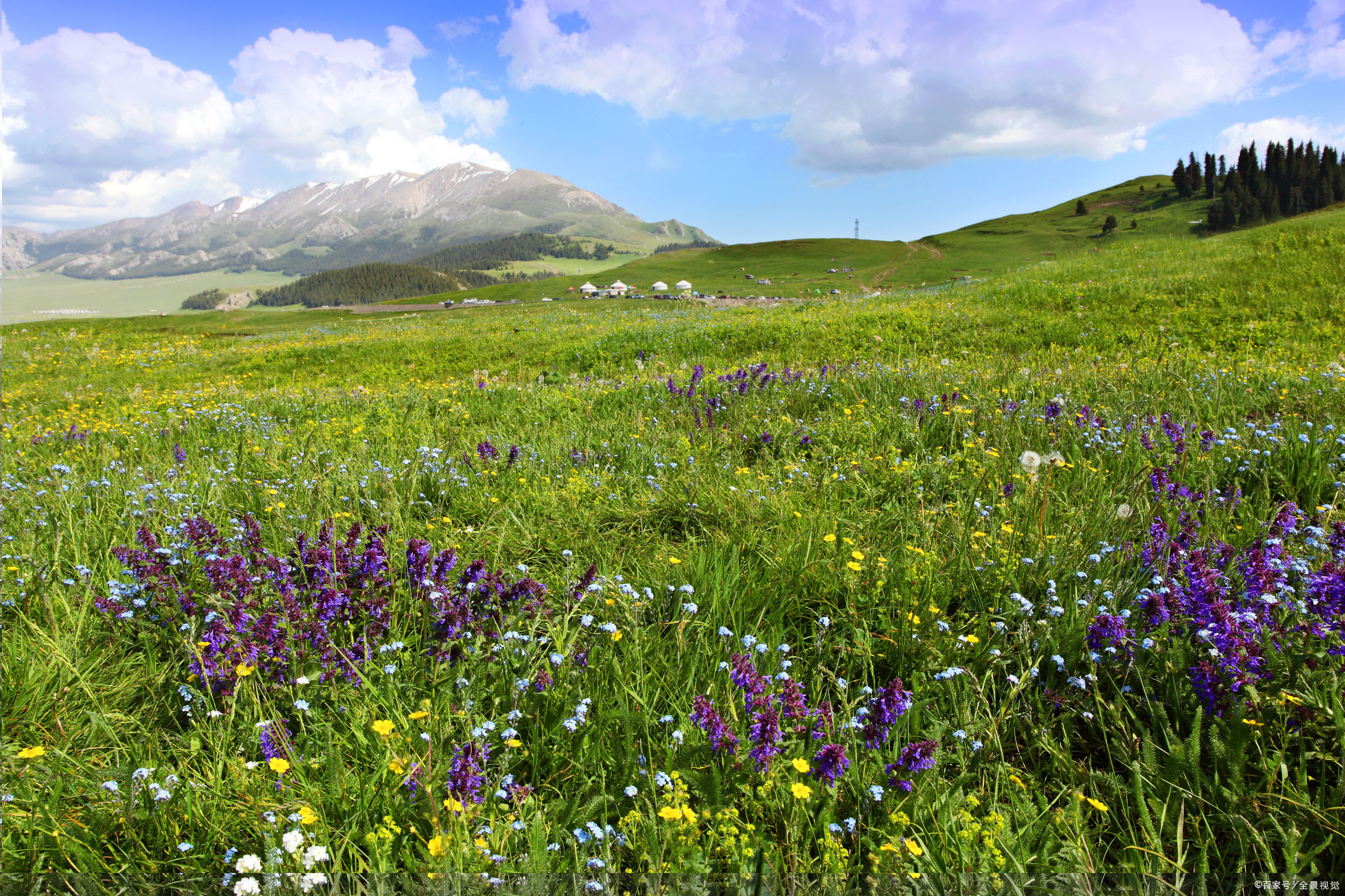 伊犁果子沟——山奇石怪的奇绝仙境