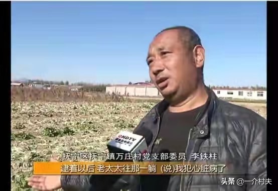 城里退休老人组团进村“偷菜”,菜农无奈!网友:停发退休金